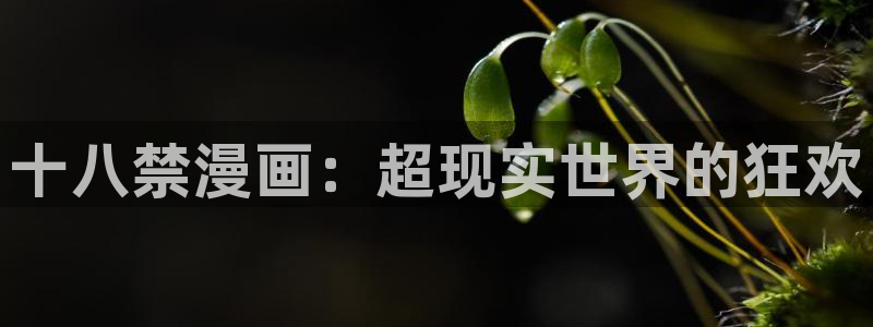 51漫画,免费