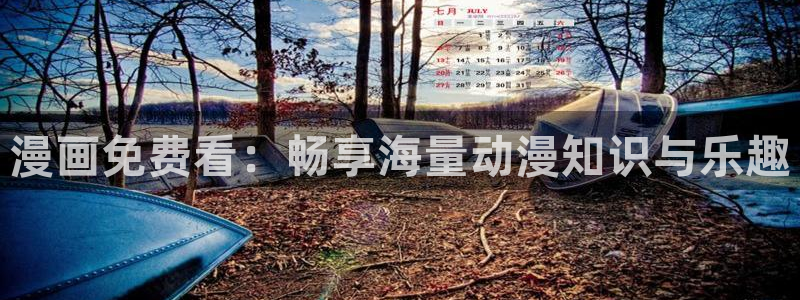 51漫画视频免费看
