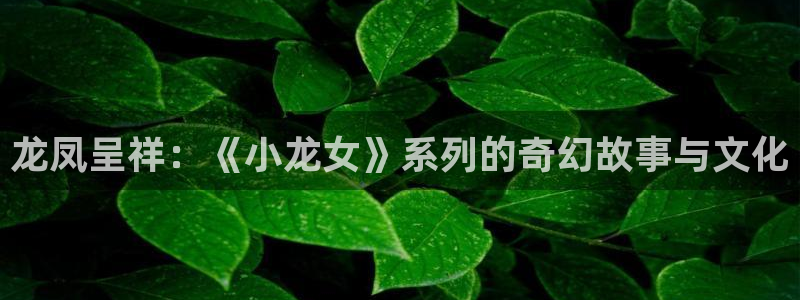 51漫画网站入口免费阅读漫画特点小说