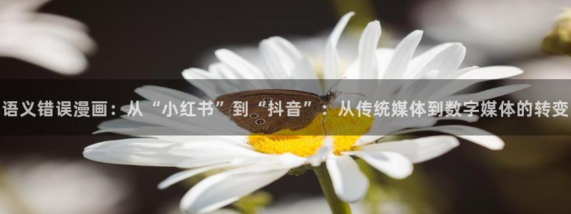 51漫画无遮挡