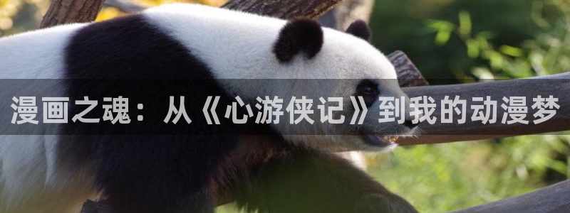 51漫画无