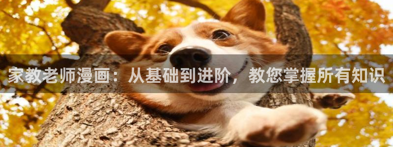 51漫画的兑换码是多少